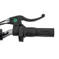Motocicleta RENEGADE 50R, 500W, 3 viteze, 24 km/h, anvelope pneumatice, cadru metalic, rosu