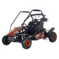 BUGGY pe benzina, motor 125cc, 46 km/h, frana hidraulica pe disc, suspensii fata/spate, sarcina 180 kg