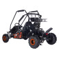 BUGGY pe benzina, motor 125cc, 46 km/h, frana hidraulica pe disc, suspensii fata/spate, sarcina 180 kg
