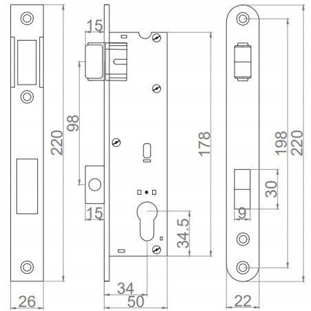 Broasca cu bila, incastrata, pentru usa PVC, galvanizata, 22x50x220 mm