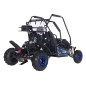 BUGGY pe benzina, 125cc, 46 km/h, suspensii fata/spate, cutie automata, cadru otel, maxim 180 kg, RESIGILAT