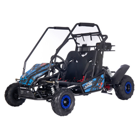 BUGGY pe benzina, 125cc, 46 km/h, suspensii fata/spate, cutie automata, cadru otel, maxim 180 kg, RESIGILAT