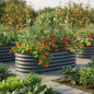 Strat inaltat gradina 160x80x45 cm, otel galvanizat rezistent la coroziune, jardiniera metalica pentru legume si flori