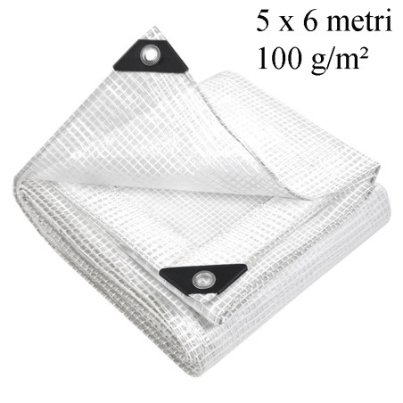 Prelata impermeabila 5x6m, 100 g/mp, inele otel 12 mm, transparenta