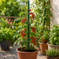 Arac pentru sustinere plante, lungime 90 cm, diametru 11 mm, suport fiabil plante si culturi Arac pentru sustinere plante, lungime 90 cm, diametru 11 mm, suport fiabil plante si culturi