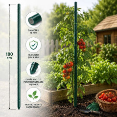 Araci plante - suport 180 cm, diametru 16 mm, set 25 bucati