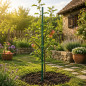 Suport sustinere plante - set 25 araci, 150 cm, diametru 16 mm