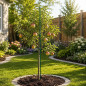 Araci sustinere plante, 150 cm diametru 11 mm verde, set 25 bucati