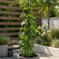 Araci sustinere plante, 150 cm diametru 11 mm verde, set 25 bucati