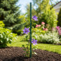 Araci pentru sustinere plante - lungime 90 cm, diametru 11 mm, set 25 bucati Araci pentru sustinere plante - lungime 90 cm, diametru 11 mm, set 25 bucati