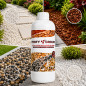 Adeziv Profesional impermeabil pentru piatra decorativa si mulci, Profy Ground, fixare puternica, acrilic Adeziv Profesional impermeabil pentru piatra decorativa si mulci, Profy Ground, fixare puternica, acrilic