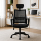 Scaun ergonomic rotativ, inaltime reglabila, tetiera integrata, mesh si burete, 48.5x50x118 cm, negru Scaun ergonomic rotativ, inaltime reglabila, tetiera integrata, mesh si burete, 48.5x50x118 cm, negru