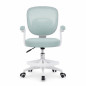 Scaun de birou pentru copii si adolescenti, ergonomic, cu suport pentru picioare, verde menta