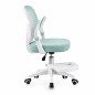 Scaun de birou pentru copii si adolescenti, ergonomic, cu suport pentru picioare, verde menta