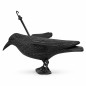 Sperietoare pasari, suport si carlig suspendare, figurina Corb, 34x43x24 cm Sperietoare pasari, suport si carlig suspendare, figurina Corb, 34x43x24 cm