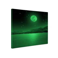 Tablou canvas fosforescent Luna