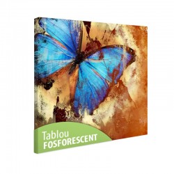 Set tablou fosforescent Fluture turqoise 