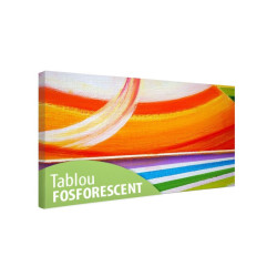 Tablou fosforescent Curcubeu abstract 
