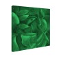Tablou fosforescent Frunze 