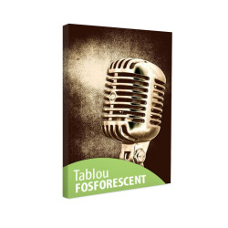 Tablou fosforescent Microfon 