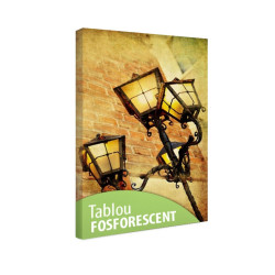 Tablou fosforescent Felinar 