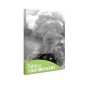 Tablou fosforescent Tren cu aburi Tablou fosforescent Tren cu aburi