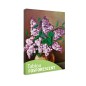 Tablou fosforescent Flori de liliac