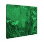 Tablou fosforescent Flori de camp