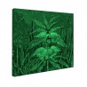 Tablou fosforescent Floare de camp