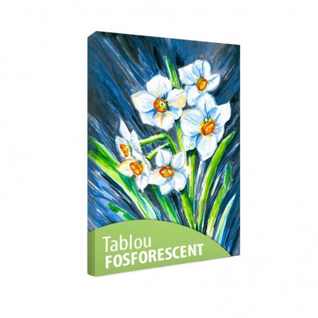 Tablou fosforescent Narcise