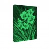 Tablou fosforescent Narcise