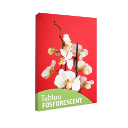 Tablou fosforescent Orhidee pe fond rosu