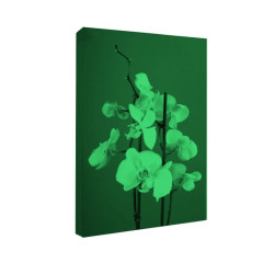 Tablou fosforescent Orhidee pe fond rosu