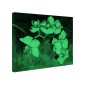 Tablou fosforescent Orhidee pictata