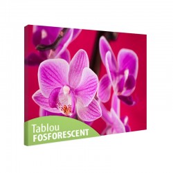 Tablou fosforescent Orhidee violet 