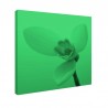 Tablou fosforescent Ghiocel