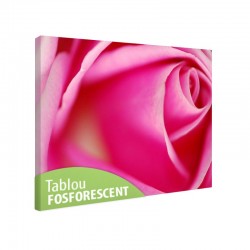 Tablou fosforescent Trandafir perfect 