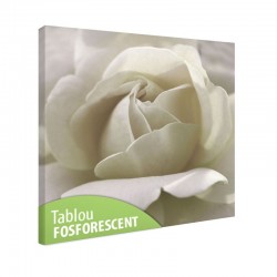 Tablou fosforescent Trandafir alb 
