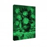 Tablou fosforescent Buchet de flori albe