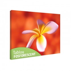 Tablou fosforescent Floare de frangipani 