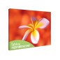 Tablou fosforescent Floare de frangipani