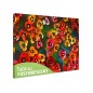 Tablou fosforescent Panselute multicolore Tablou fosforescent Panselute multicolore