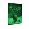 Tablou fosforescent Irisi