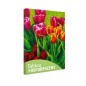 Tablou fosforescent Lalele multicolore