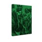 Tablou fosforescent Lalele multicolore