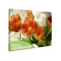 Tablou fosforescent Lalele portocalii