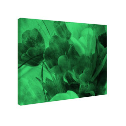 Tablou fosforescent Lalele portocalii