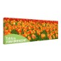 Tablou fosforescent﻿ Camp cu lalele