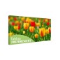 Tablou fosforescent﻿ Lalele galbene