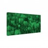 Tablou fosforescent﻿ Lalele galbene